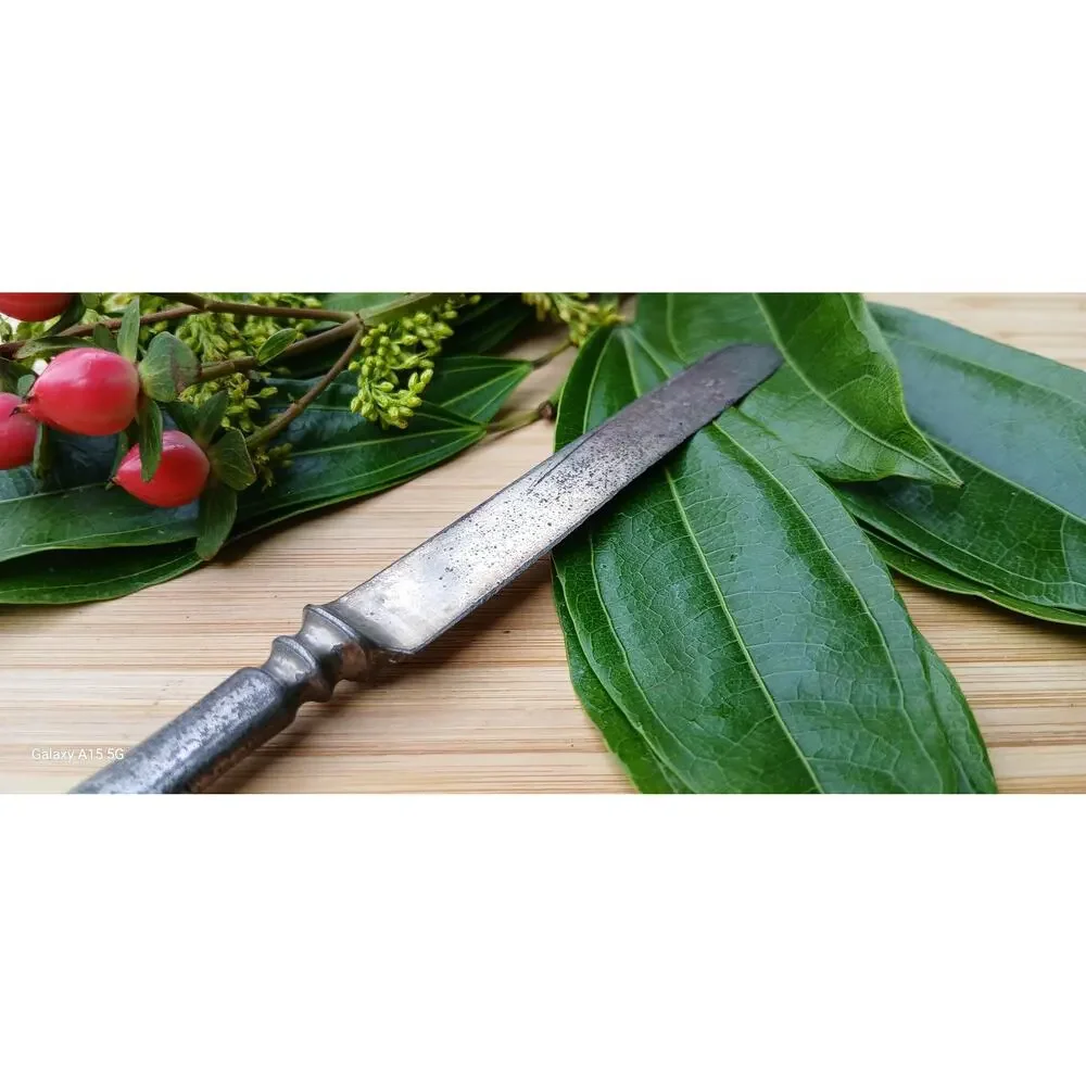 Vintage cutlery Rodgers Bro butter knife